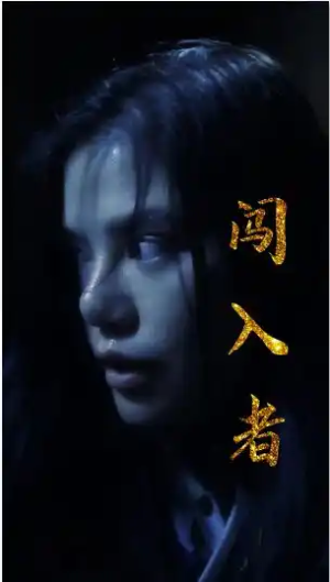 闯入者（51集）短剧全集完整版