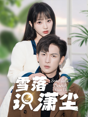 雪落识潇尘(80集) 雪落识潇尘(80集)第32集