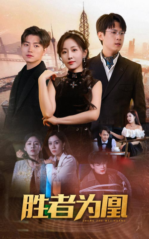 胜者为凰(89集) 胜者为凰(89集)演员表