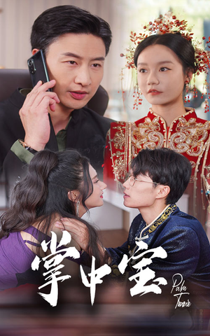 掌中宝(31集) 掌中宝(31集)去哪里看