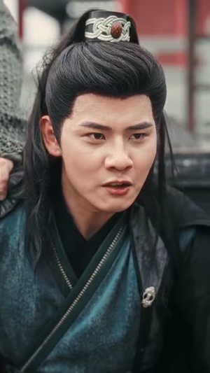 精忠报国（41集）在线看