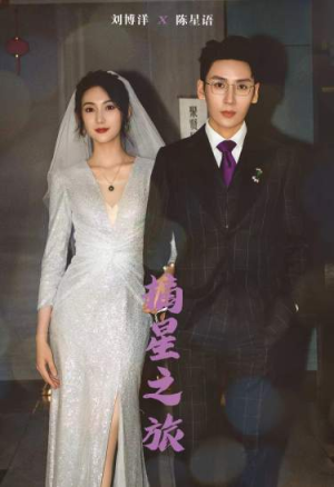 摘星之旅（88集）短剧排行榜