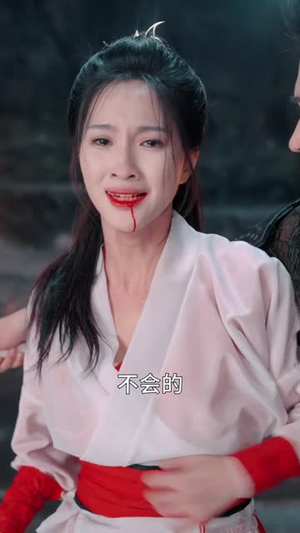 剑影江湖(60集) 剑影江湖(60集)全部免费看全集