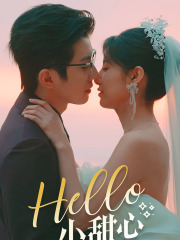 Hello,小甜心(80集) Hello,小甜心(80集)高清画质免费看