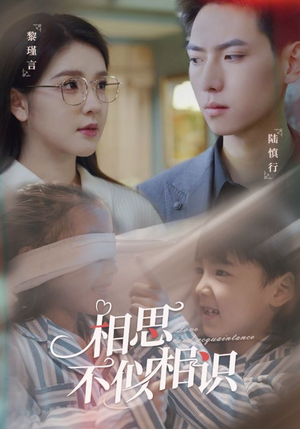 相思不似相识（101集）最热短剧抢先看