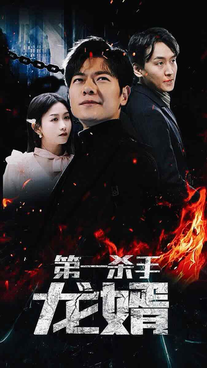 第一杀手龙婿(100集) 第一杀手龙婿(100集)在线观看全集