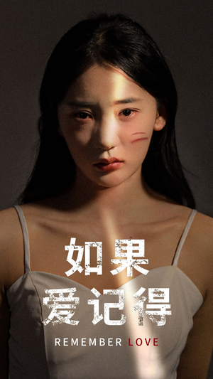 如果爱记得（60集）演员表