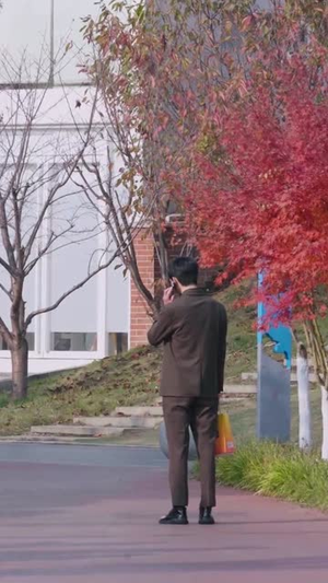 相爱已成往事(44集) 相爱已成往事(44集)免费看短剧全集