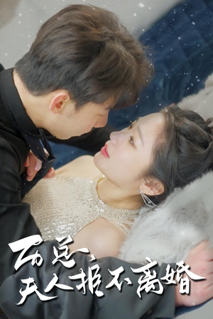 历总，夫人拒不离婚（61集）热播短剧免费看