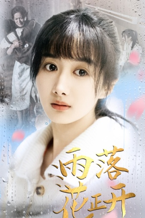 雨落花正开（62集）短剧全集大结局