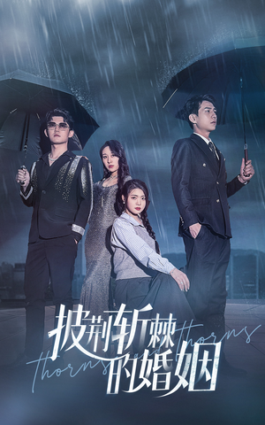 披荆斩棘的婚姻（70集）视频在线看