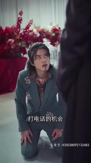 镇国主宰（90集）短剧太好看了吧