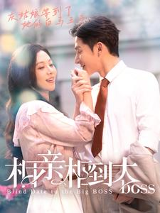 相亲相到大boss(101集) 相亲相到大boss(101集)最新热剧免费看