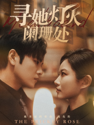 寻她灯火阑珊处(61集) 寻她灯火阑珊处(61集)全集在线看