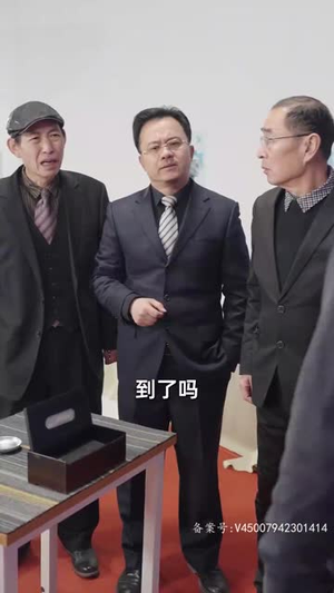 十年寒窗无人问（73集）一口气追完短剧