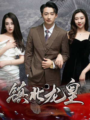 镇北龙帅(97集) 镇北龙帅(97集)百亿短剧抢先看