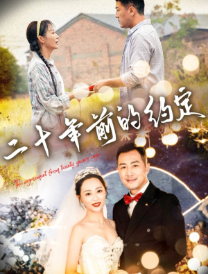 二十年前的约定（57集）全网独播免费看