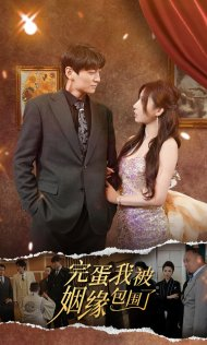 完蛋我被姻缘包围了（86集）完整版免费观看