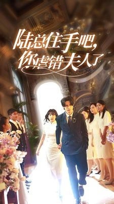 陆总住手吧，你虐错夫人了（80集）全集一次看完