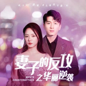 妻子的反攻之华丽逆袭(30集) 妻子的反攻之华丽逆袭(30集)爆款短剧追不停