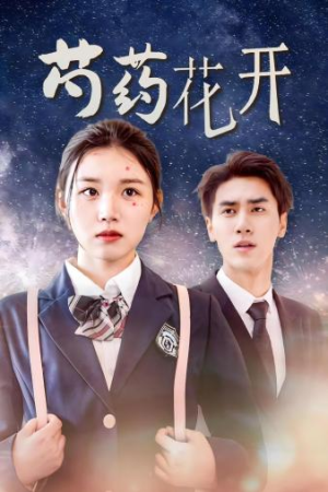 火光中的芍药花（77集）免费短剧完整版