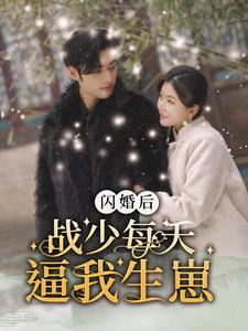闪婚后战少每天逼我生崽（91集）短剧全集大结局