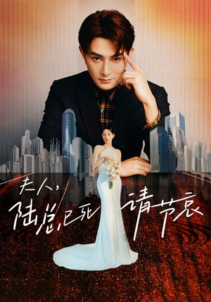 夫人,陆总已死请节哀(95集) 夫人,陆总已死请节哀(95集)在哪个平台看