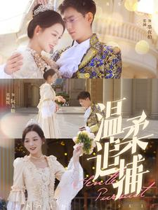 温柔追捕（89集）每日短剧推荐