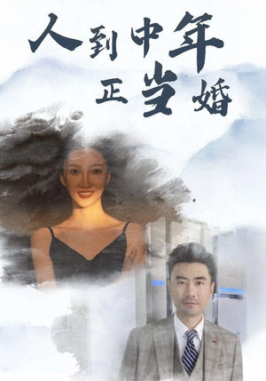 人到中年正当婚(81集) 人到中年正当婚(81集)免费短剧大全