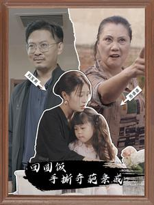 团圆饭手撕奇葩亲戚（40集）精彩短剧片段