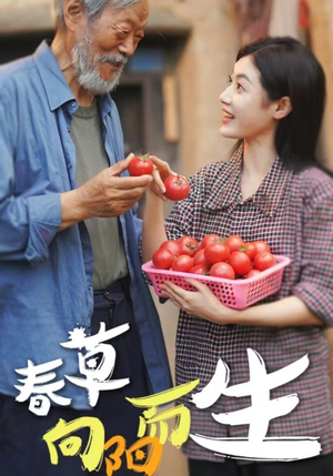 春草向阳而生(53集) 春草向阳而生(53集)全集在线看