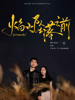 焰火坠落之前（99集）热播短剧排行榜