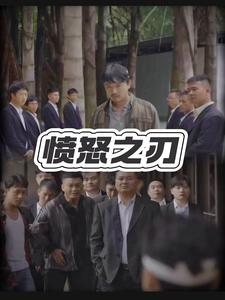 愤怒之刃（35集）最后的大结局