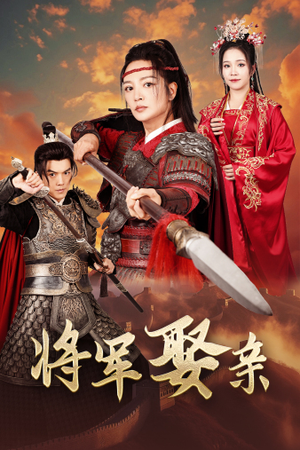 将军娶亲(36集) 将军娶亲(36集)一共多少集