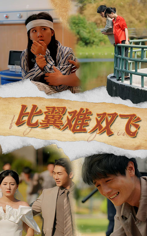 比翼难双飞(30集) 比翼难双飞(30集)在哪里看