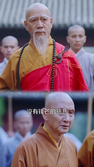 天下嵩山(29集) 天下嵩山(29集)全集