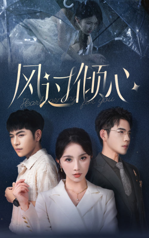 风过倾心（62集）热门短剧看不停