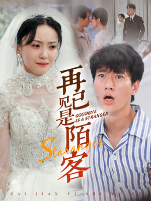再见已是陌客(55集) 再见已是陌客(55集)演的怎么样