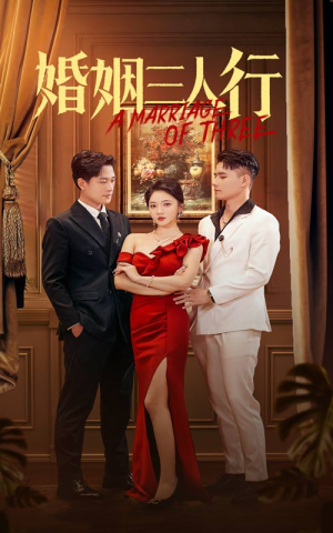 婚姻三人行(31集) 婚姻三人行(31集)短剧有好货推荐