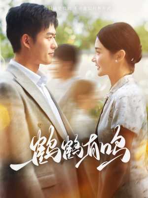 鹤鹤有鸣（87集）深深爱上这部剧