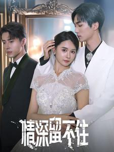 情深留不住(80集) 情深留不住(80集)免费短剧全集看