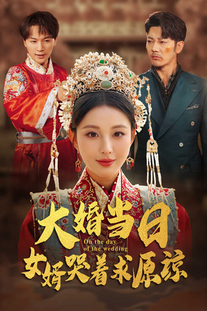 大婚当日，女婿哭着求原谅（31集）好看短剧抢先看