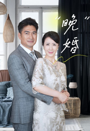 晚婚(65集) 晚婚(65集)大结局太过瘾了