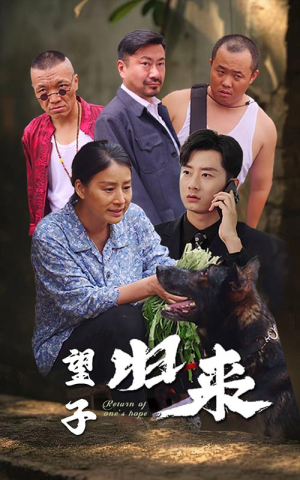 望子归来(50集) 望子归来(50集)短剧解说热门