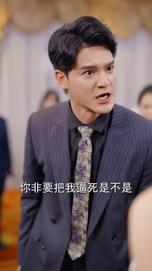 既然深情留不住(76集) 既然深情留不住(76集)在线观看完整版