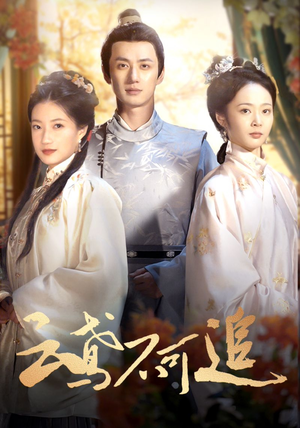 云鸢不可追（42集）更新时间