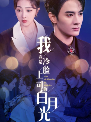 我竟是冷脸上司的白月光(80集) 我竟是冷脸上司的白月光(80集)演的怎么样