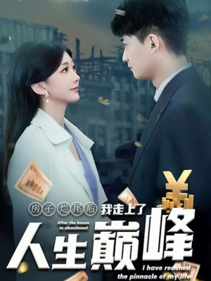 房子烂尾后我走上了人生巅峰(36集) 房子烂尾后我走上了人生巅峰(36集)大结局