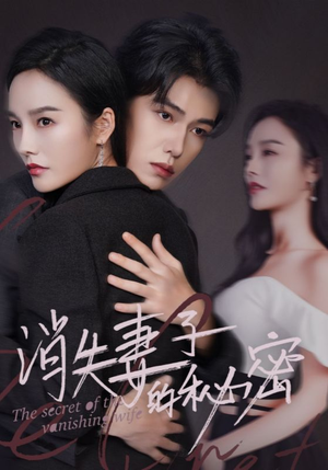 消失妻子的秘密（60）80到100集