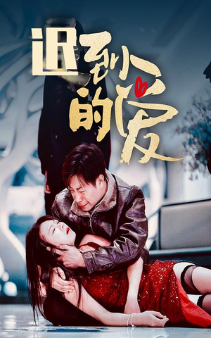 迟到的爱(35集) 迟到的爱(35集)在线观看全集